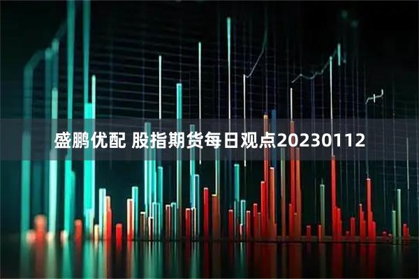 盛鹏优配 股指期货每日观点20230112