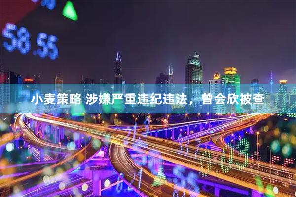 小麦策略 涉嫌严重违纪违法，曾会欣被查